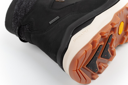 Lowa buty trekkingowe męskie Renegade Evo Ice 2 GORE-TEX wysokie